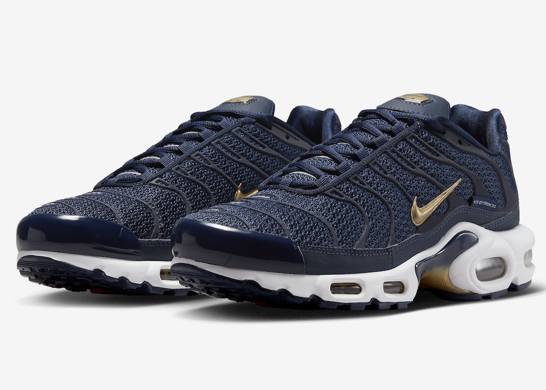 ナイキ エアマックス プラス　Nike Air Max Plus “French Football Federation”